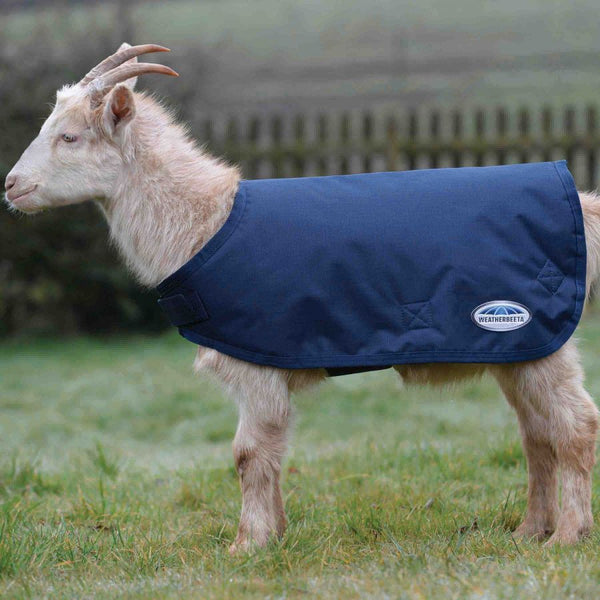 Goat Coat, Premium Goat Coat, 