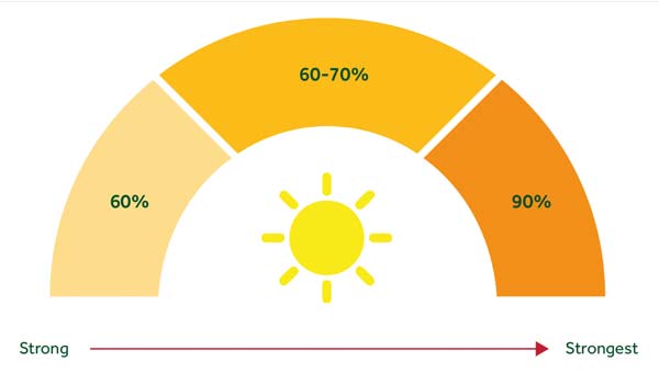 UV Protection in Summer Sheets for your Horse — Performance Horse