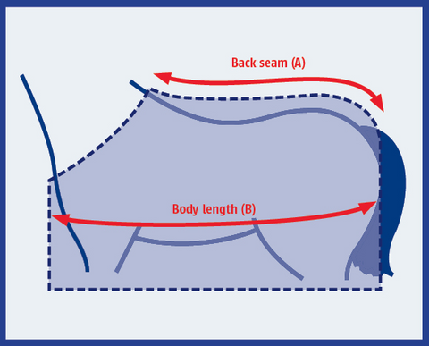 WeatherBeeta Horse Blanket Size Chart