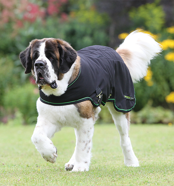 Sportz-Vibe Dog Coat by Horseware Ireland