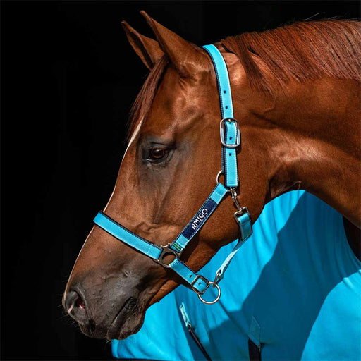 Amigo Chest Extender — Performance Horse Blankets