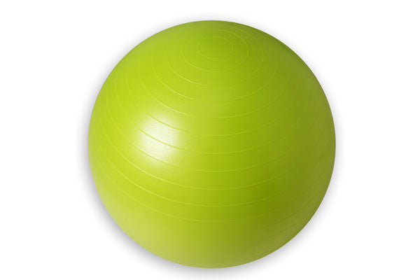 Premium Exercise Ball - SmarterLife Products