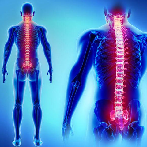 Back Pain – Oska Wellness