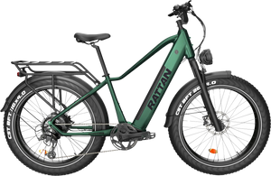 Rattan Pathfinder RP-EEHS Electric Bicycle 28 MPH 65 Mile Range 750W 48V 15Ah New