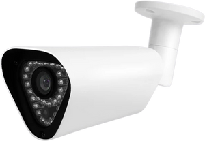 Amaryllo AR4 1080p Infrared Night Vision Biometric Outdoor Security Camera White New