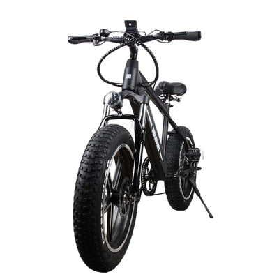 NAKTO 20 inch 300W Motor with Peak 600W 20 MPH Discovery Fat Tire Electric Bicycle 6 Speed E-Bike 48V Lithium Battery New