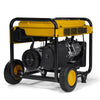 Dewalt DXGNR6500 6500W/8750W CARB Auto Idle CO Protect Generator Manufacturer RFB