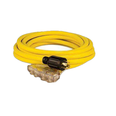 Champion 48036 25FT Generator Cord