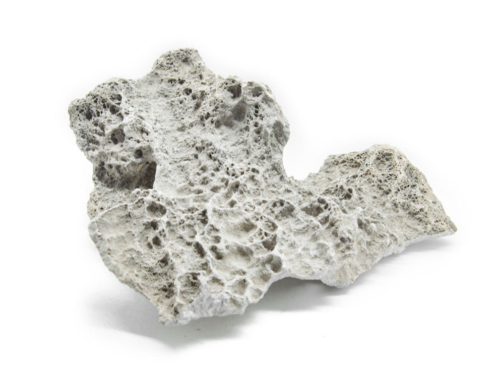 NATURAL Lace Rock - Aquarium / Terrarium / Bonsai Stone - Aquatic Arts