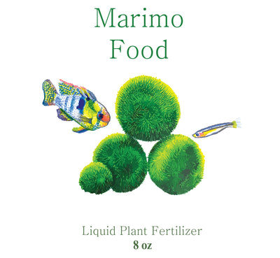 Giant Marimo Moss Balls - Live Aquarium Tank Plants Low lightNo Pesticides  (1-1.4 x10 + 7 Free) : : Pet Supplies