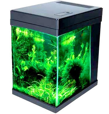 JBJ 3 Gallon Black Cubey Aquarium Tank on sale for $ 139.99