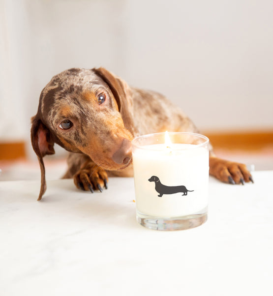Dachshund Gift Candle_Scripted Fragrance