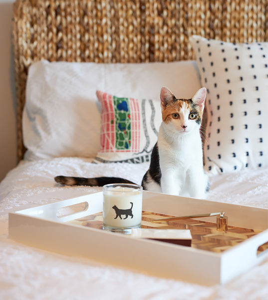 Cat Candle in Reusable Rocks Glass_Scripted Fragrance