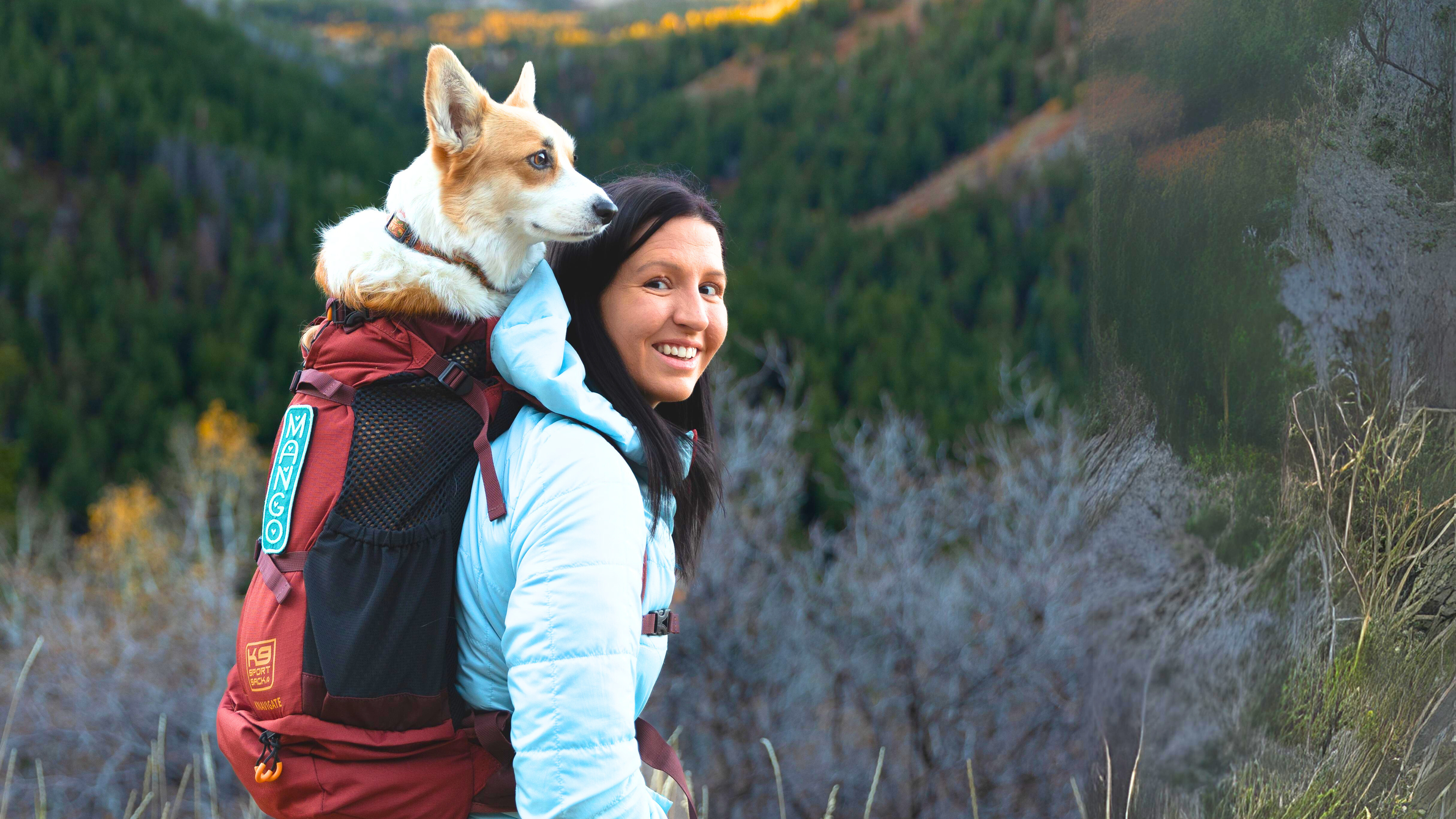 Woman hiking with a dog in a backpack, scenic mountains in the background.