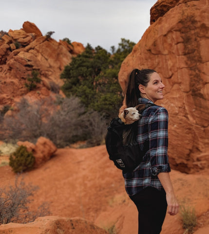 travelling with dog