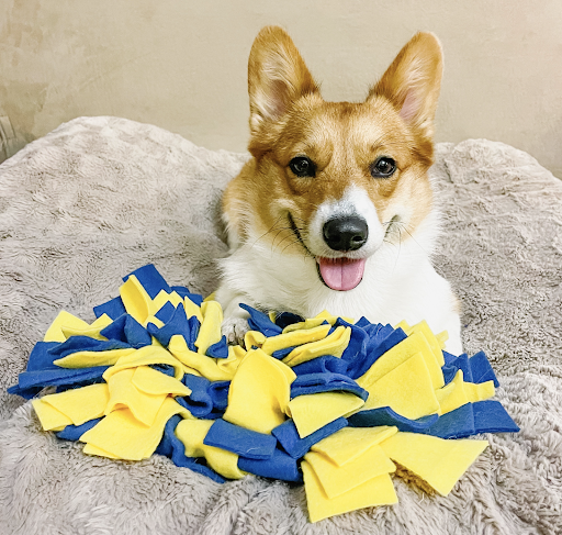 Dog With a Snuffle Mat