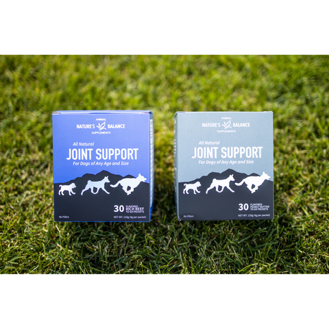 Natural Solutions For Dog Joint Health