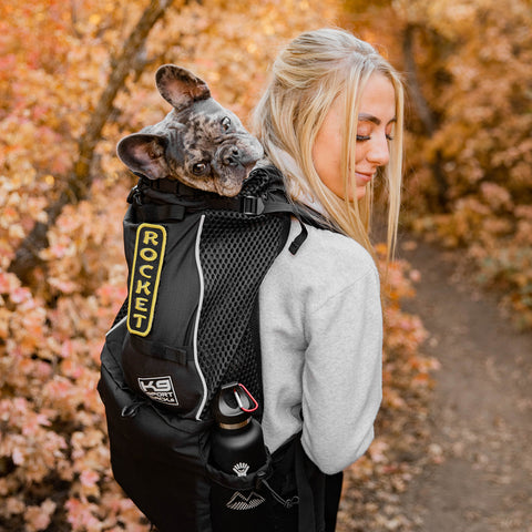 Hike with your Pooch