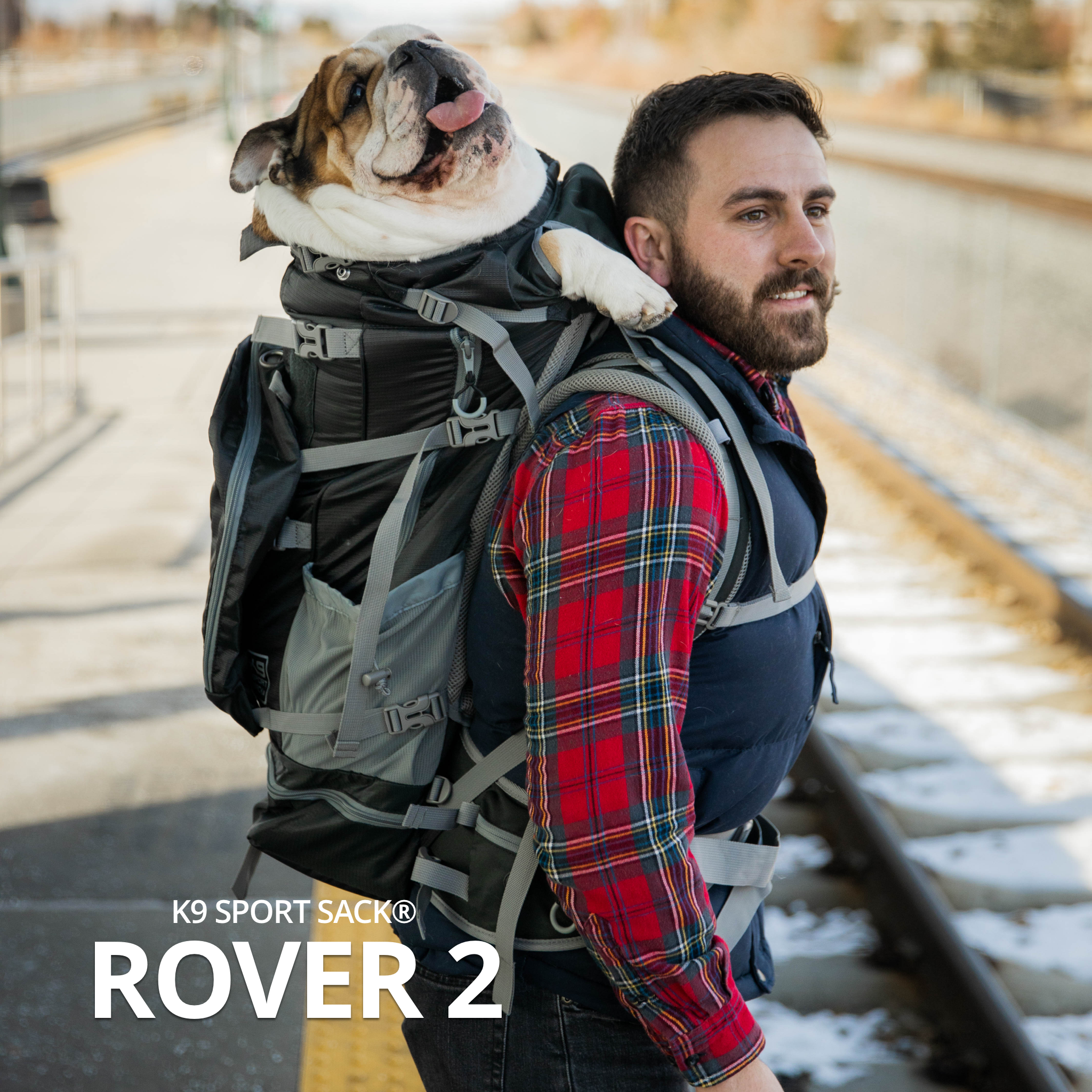 The Rover 2