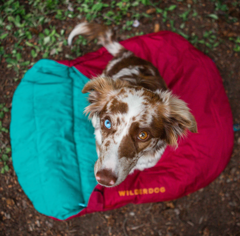 Wilder Dog Sleeping Bag