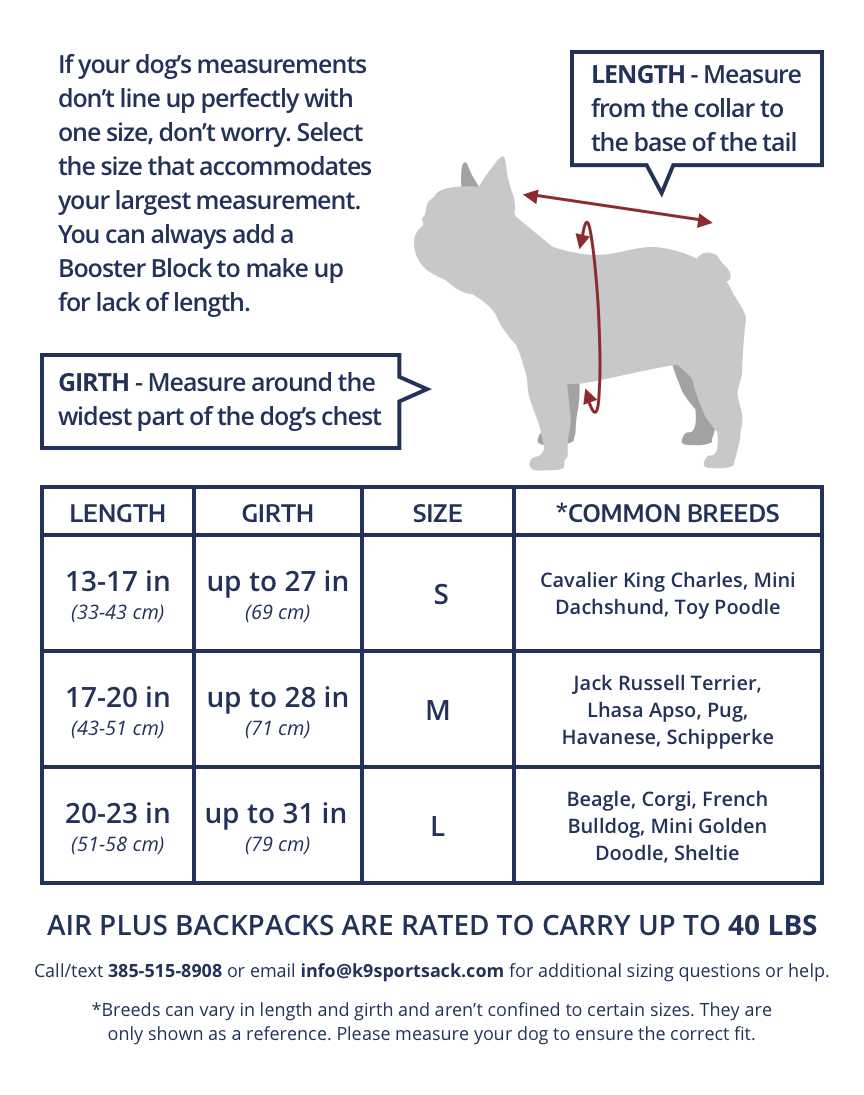 Mini Poodle Size Chart