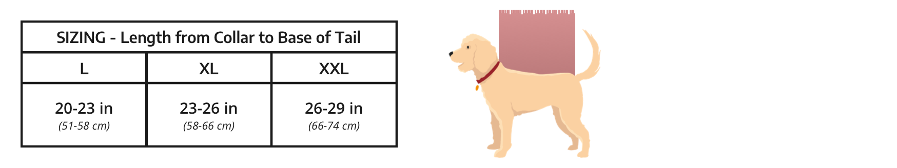 Kolossus sizing length from the collar to the base of the tail: L 20-23 inches, XL 23-26 inches, XXL 26-29 inches