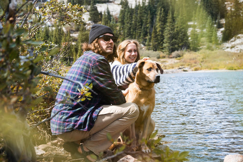 dog with couple 