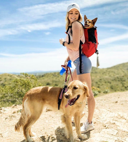 Keep Your Dog Cool This Summer