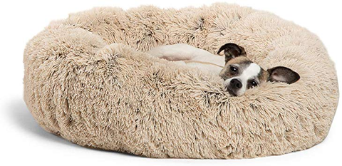 Dog Beds/Blankets