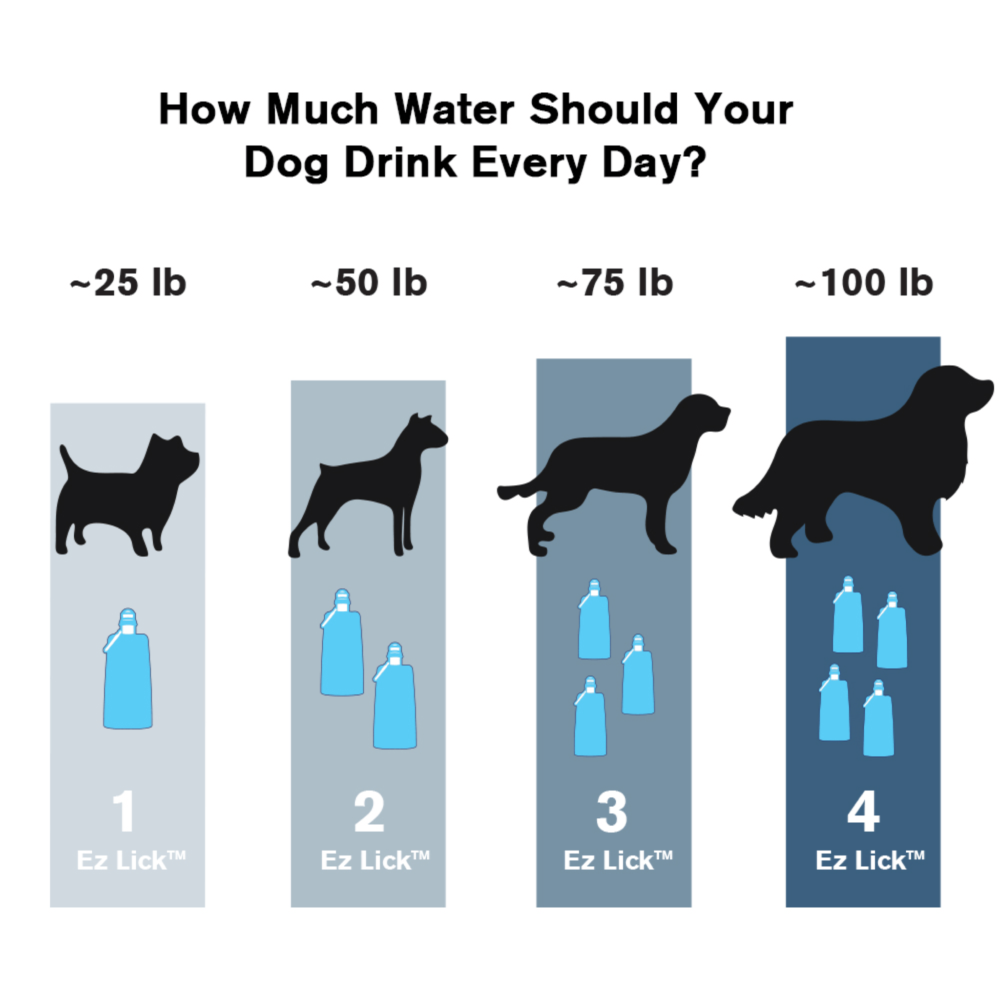 how much water will a 100lb dog drink