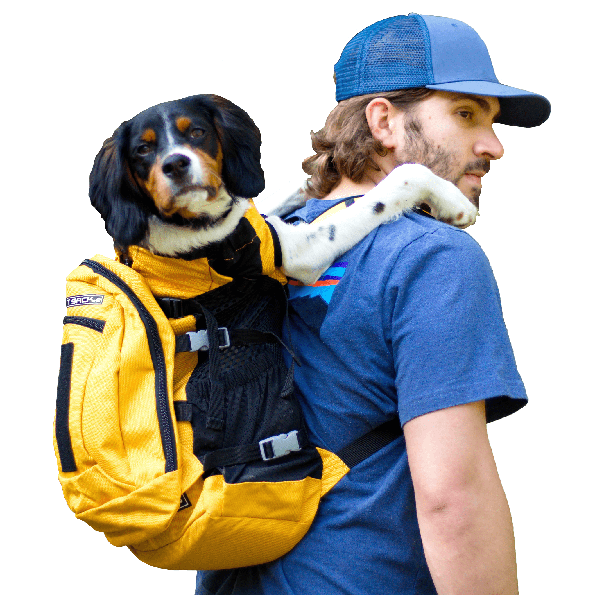 k9 sport backpack