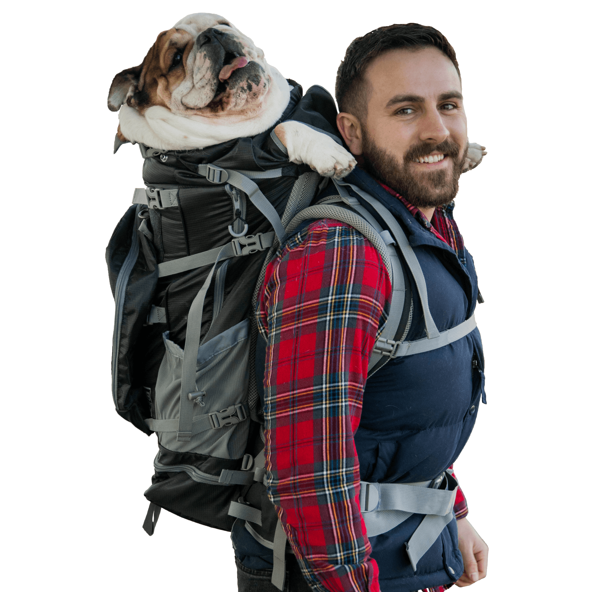 backpacking trip dog carrier