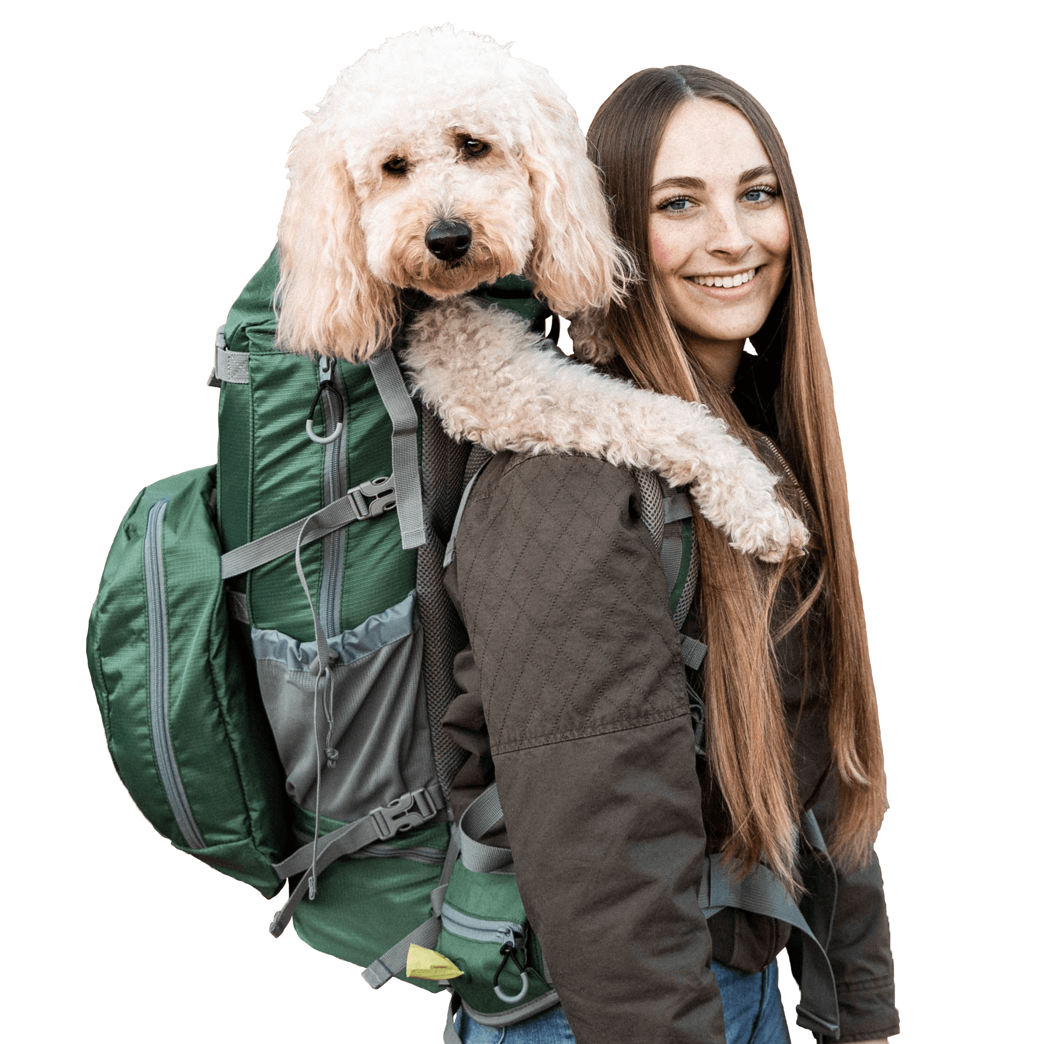 Do Dogs Like Carrying Backpacks