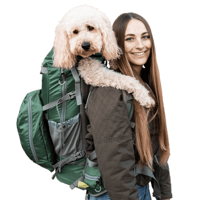 Away Pet Carrier Review - Reviewed