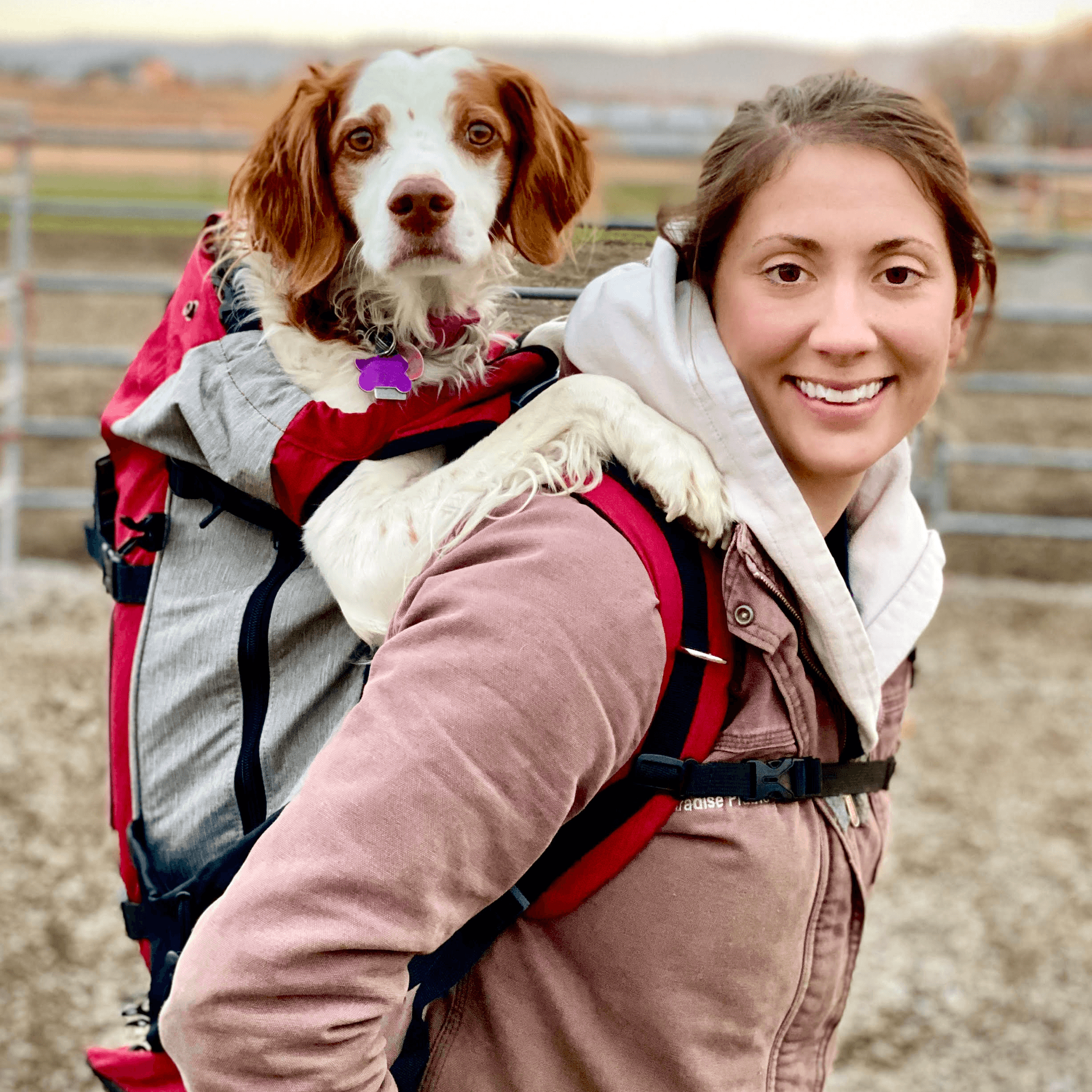 K9 Sport Sack® Rover (30lbs-80lbs)