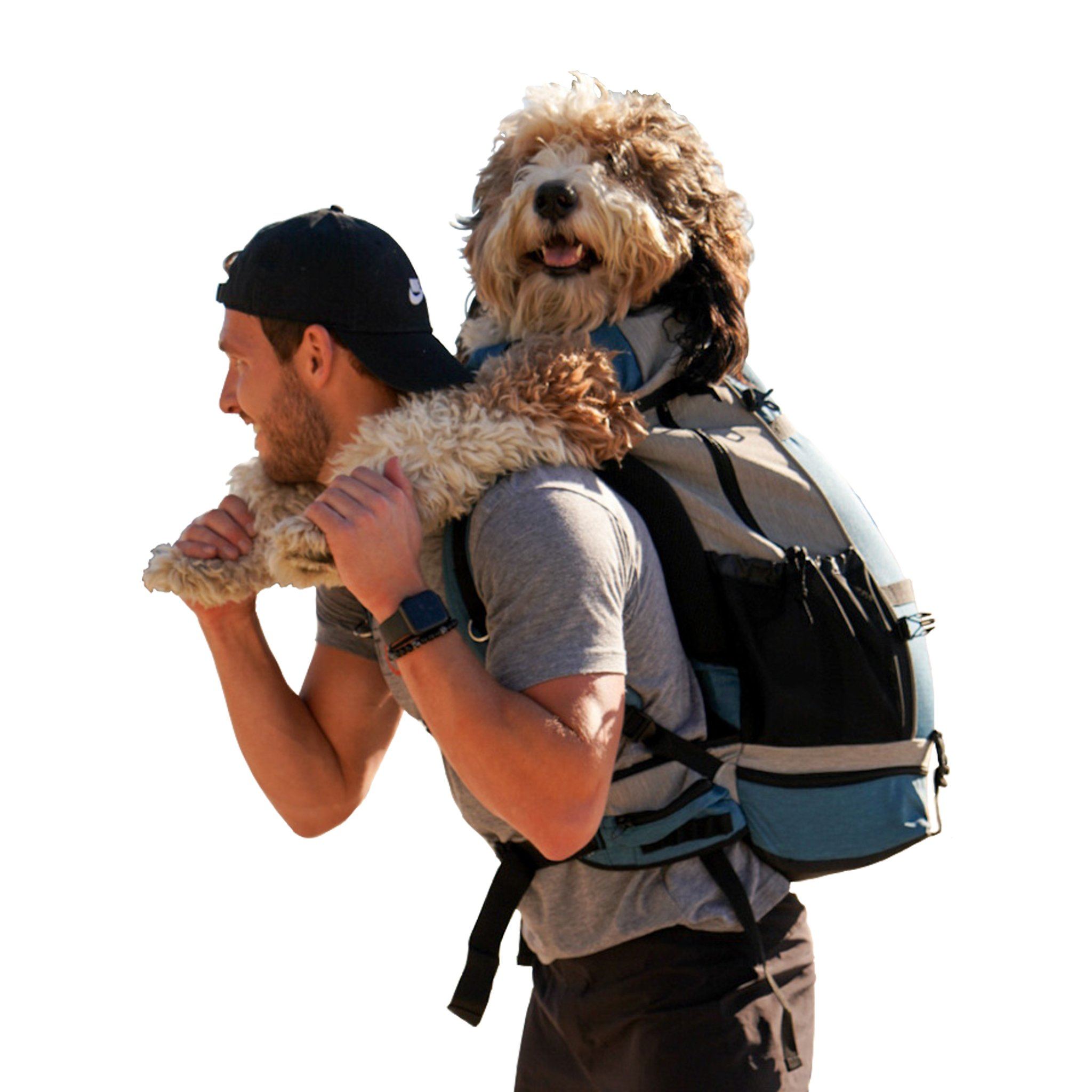 backpack to hold dog