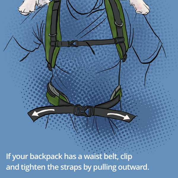 How Does it Work? – K9 Sport Sack