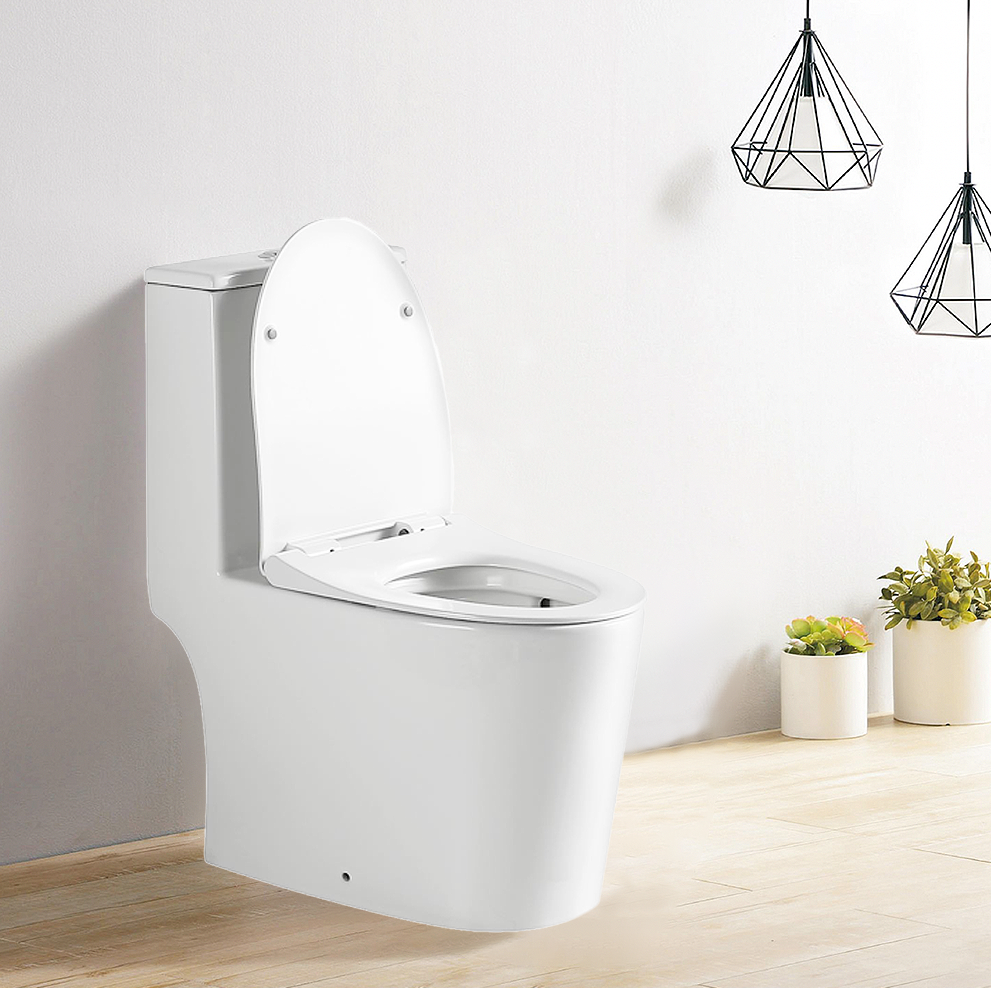 Tiara 777 Rimless Turbo Whirling Flushing Conceal Back 1-Piece Toilet Bowl domaco.com.sg