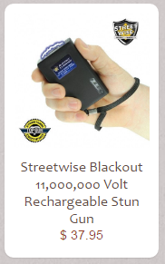 Blackout Small Stun Gun Taser