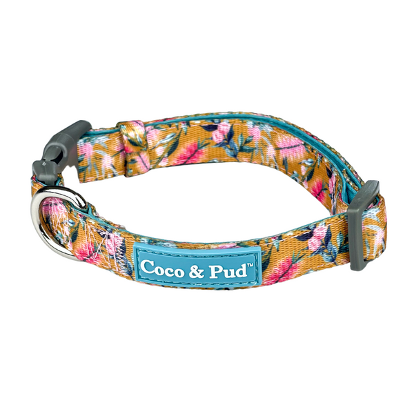 Dual Dog Leash – Coco & Pud