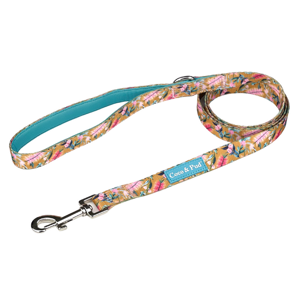 Dual Dog Leash – Coco & Pud