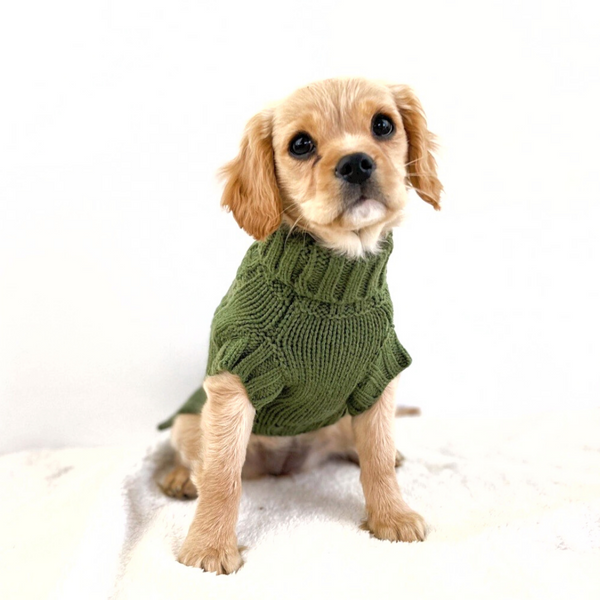 Coco Cable Dog Sweater - Sienna – Coco & Pud