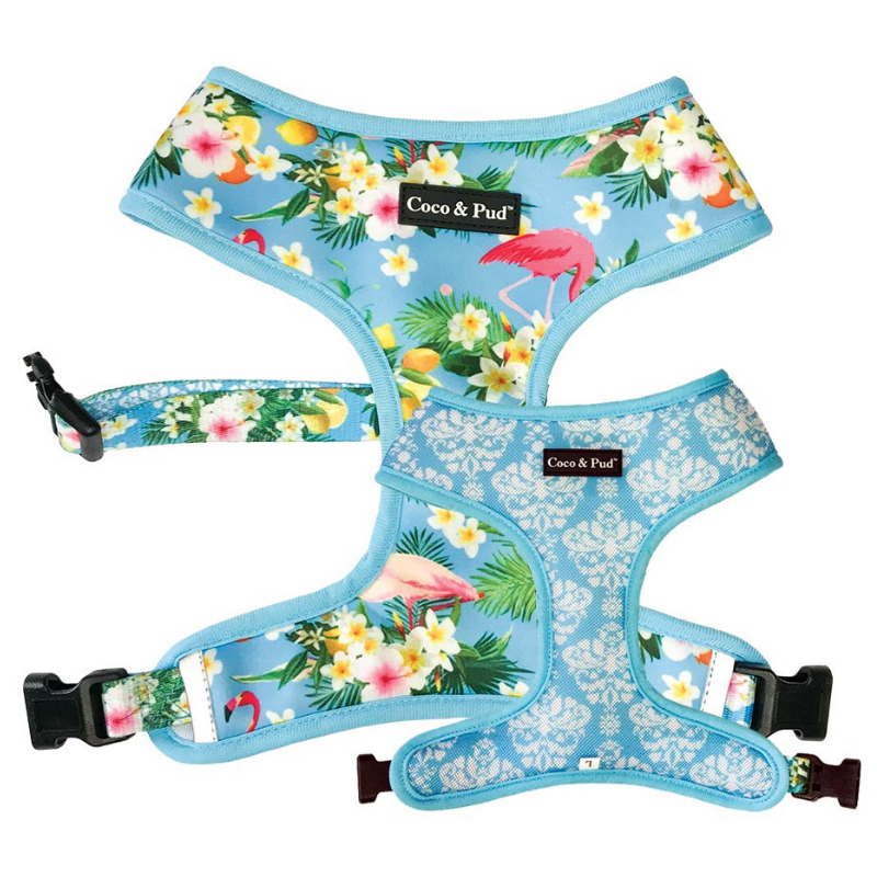 Coco \u0026 Pud Flamingo Tropical Dog Harness