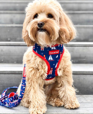 how to tie a dog collar