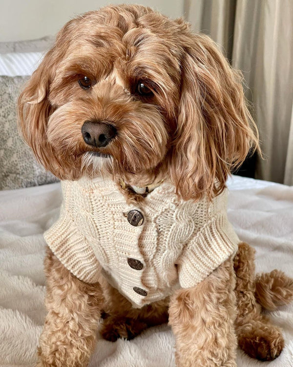 Coco & Pud New York Dog Sweater - Cream/ Navy