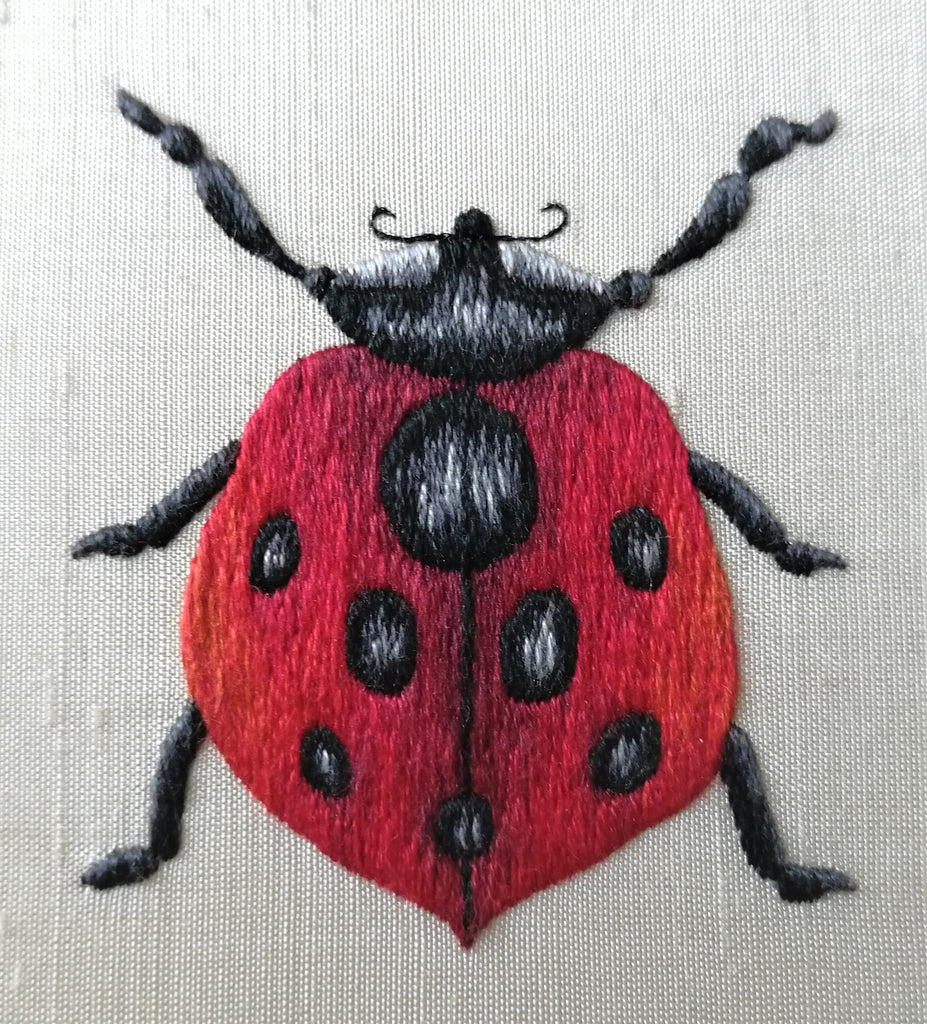 Ladybird by Mandy Ewing