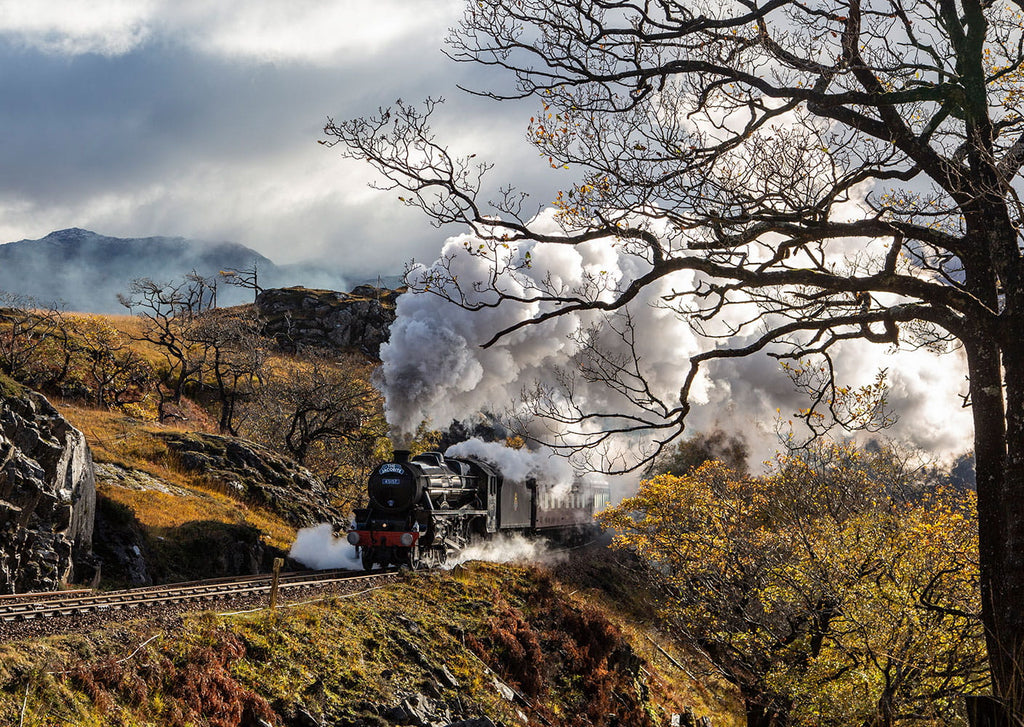 The Jacobite (Harry Potter) Train running from Mallaig to Fort William