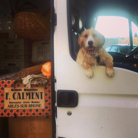 Dog, van, market, France, fruit and veg, charlotte casadejus, streett marburg