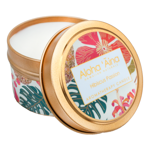 Gingerbread Medium Candle | Thymes