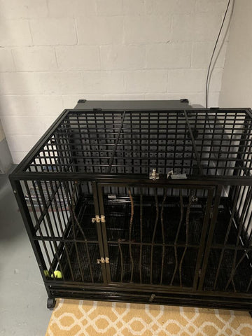 not indestructible dog crate bars are bent metal